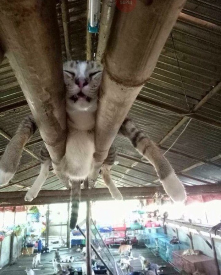 самое удачное место для сна