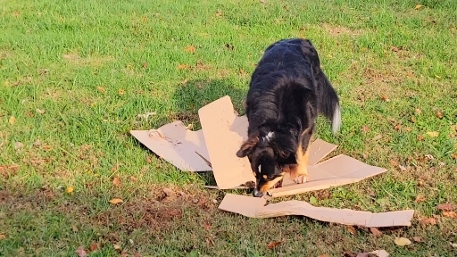 loved boxes