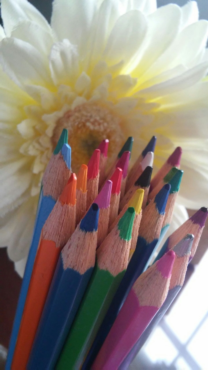 colours