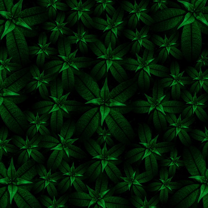 raw high matrix