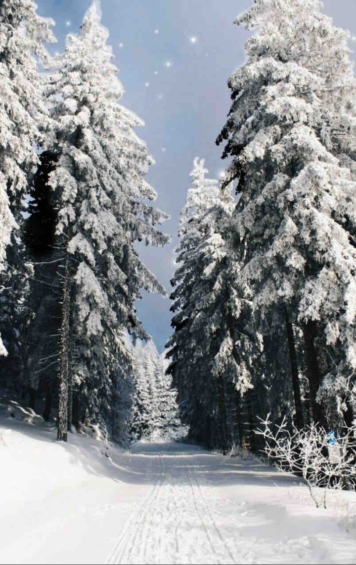 snow
