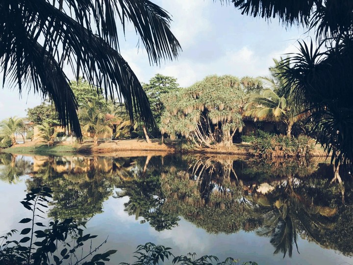 Nature