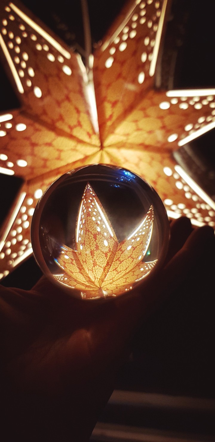 Star of Christmas