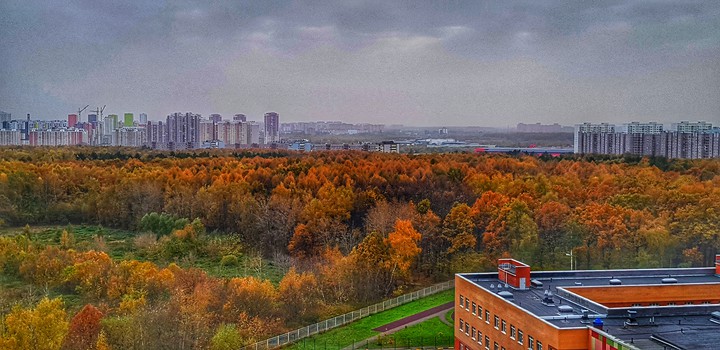 осень