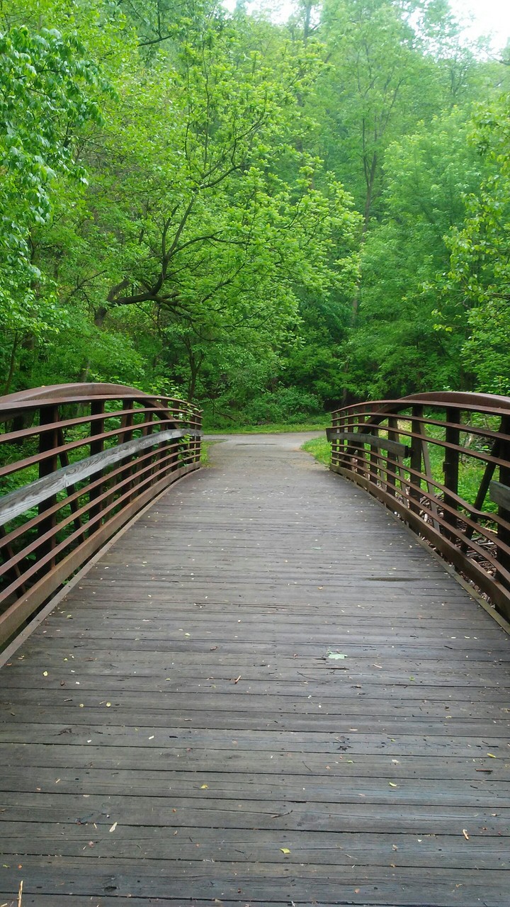 end of the Bridge