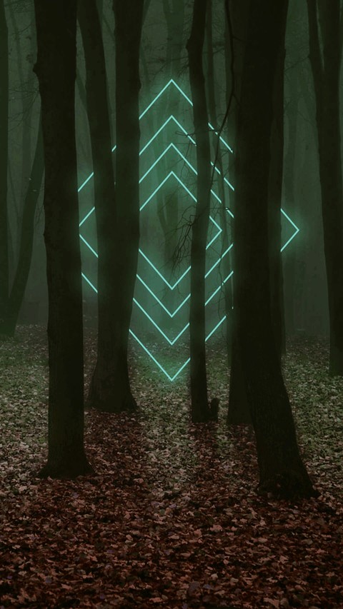 newdimension