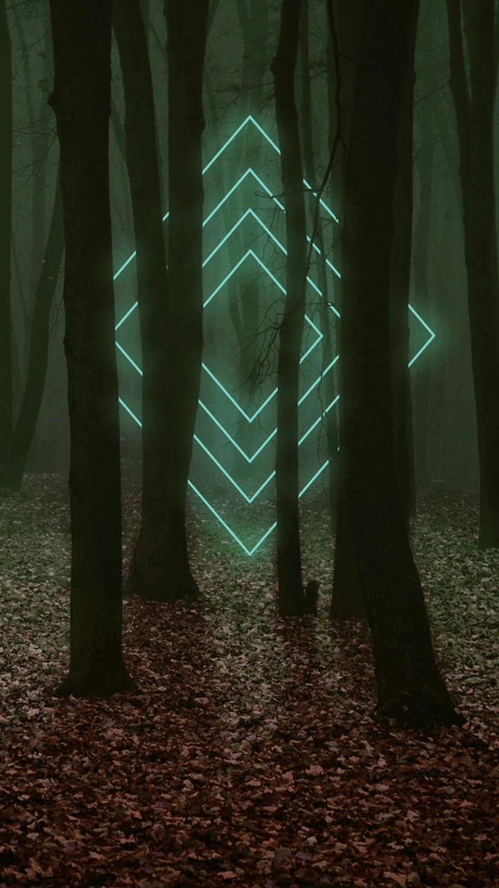 newdimension