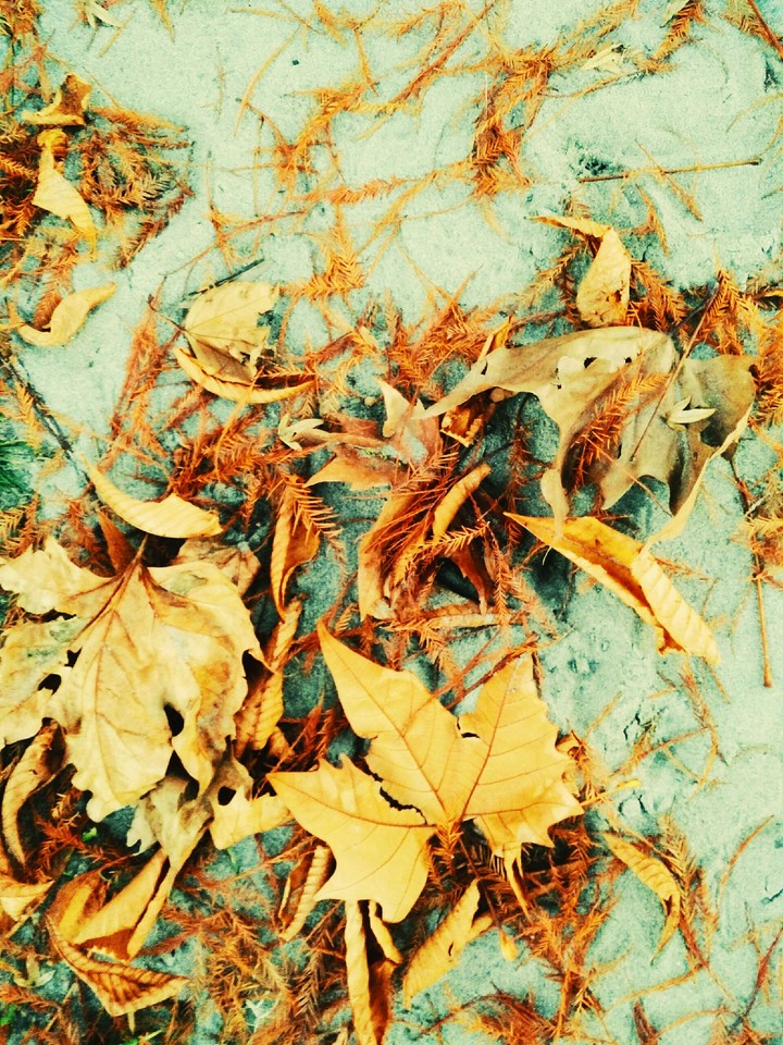 autunno