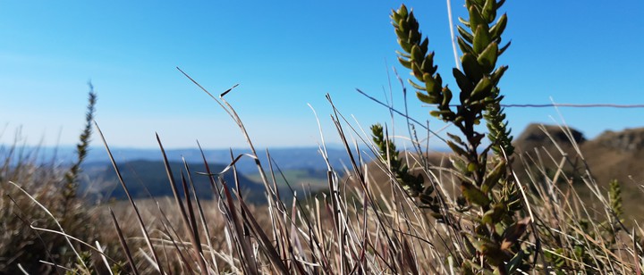 Nature