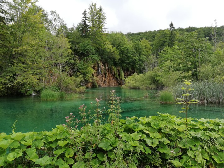 Just Coratia