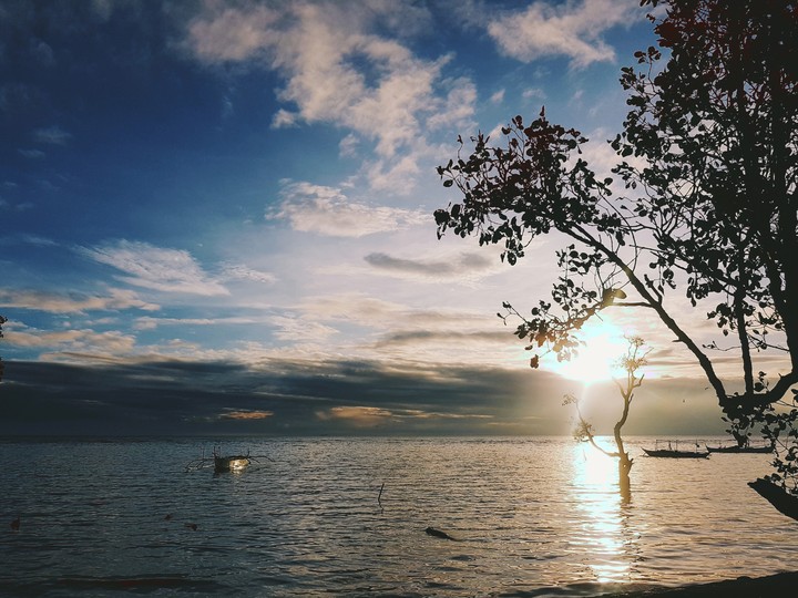 dawn