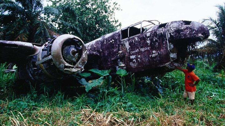 The dying object is also the transmission of green life
