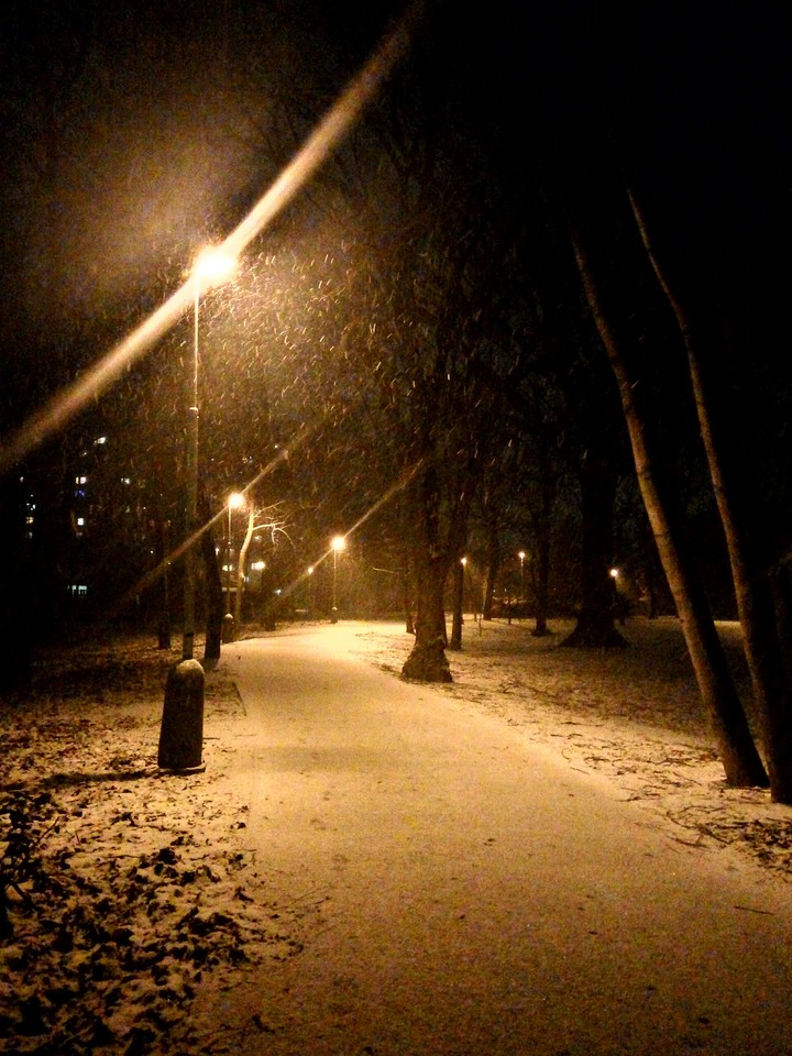 Winter