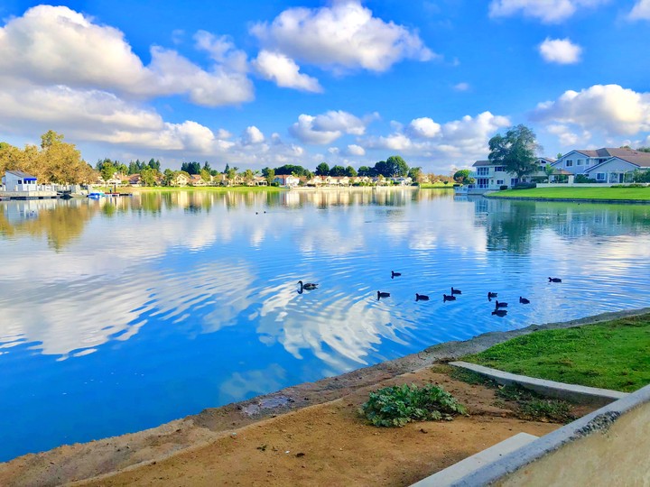 lake beauty