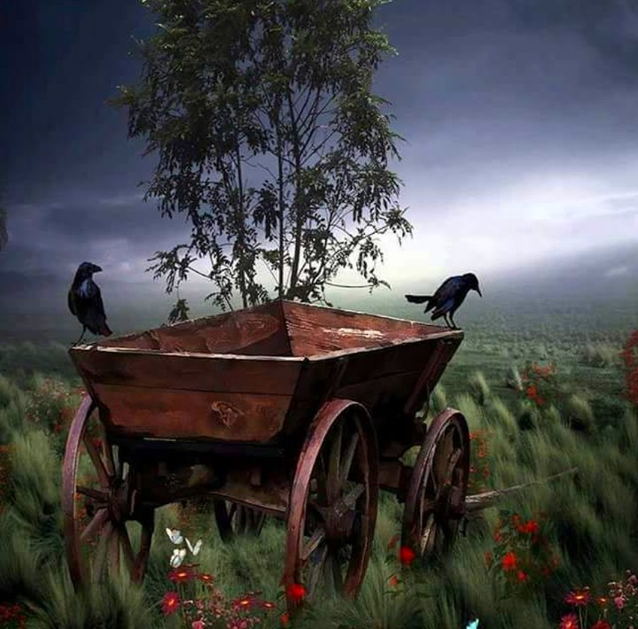 carriage