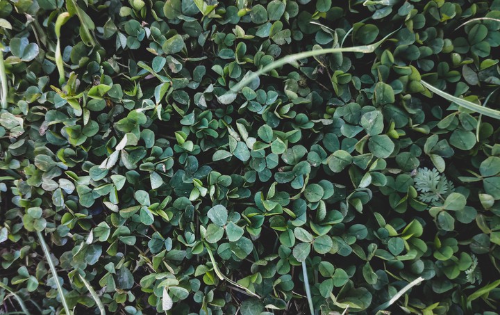 greeny~