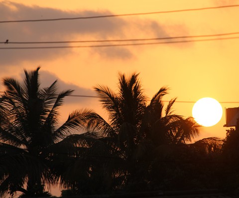sunset