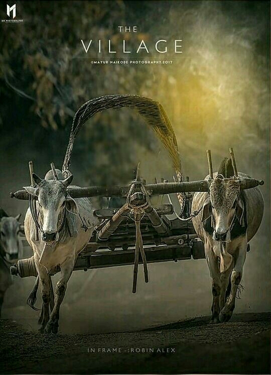 background picture