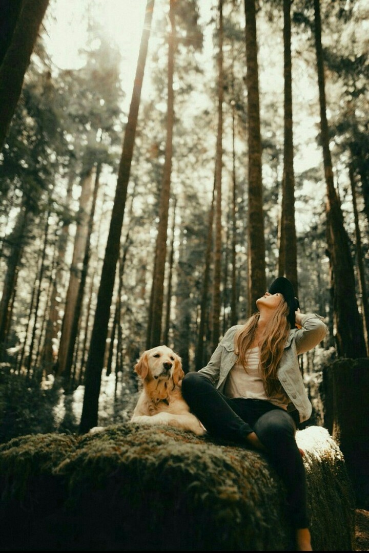 forest