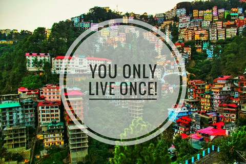 YOLO