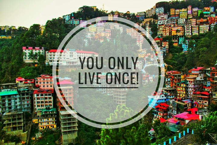 YOLO