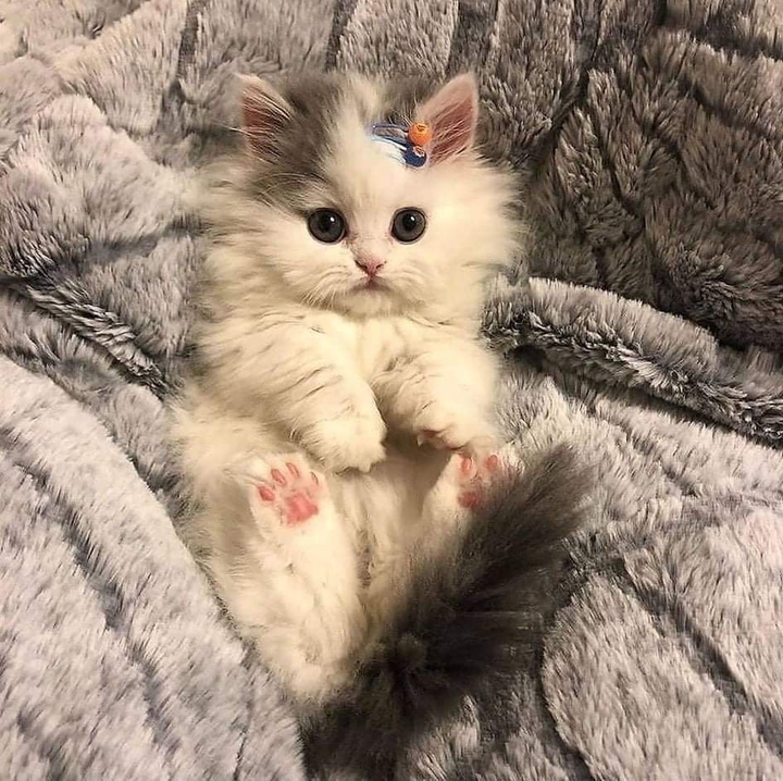 cute♥️