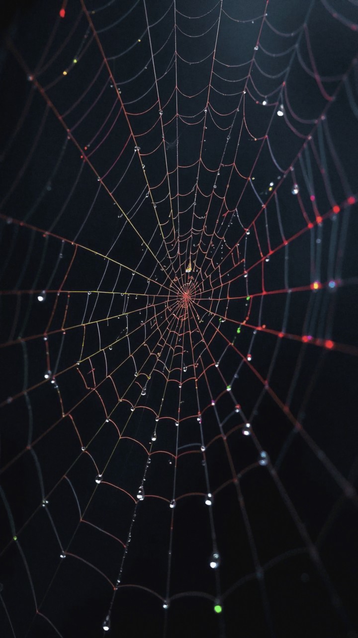 SPIDER WEB WITH DROPS