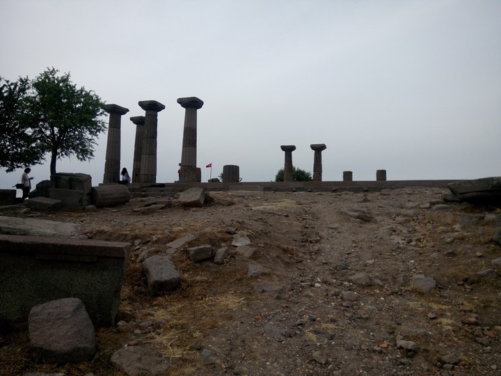 Assos