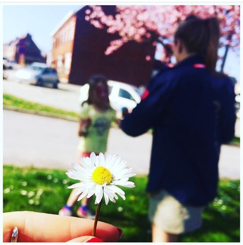 Flower