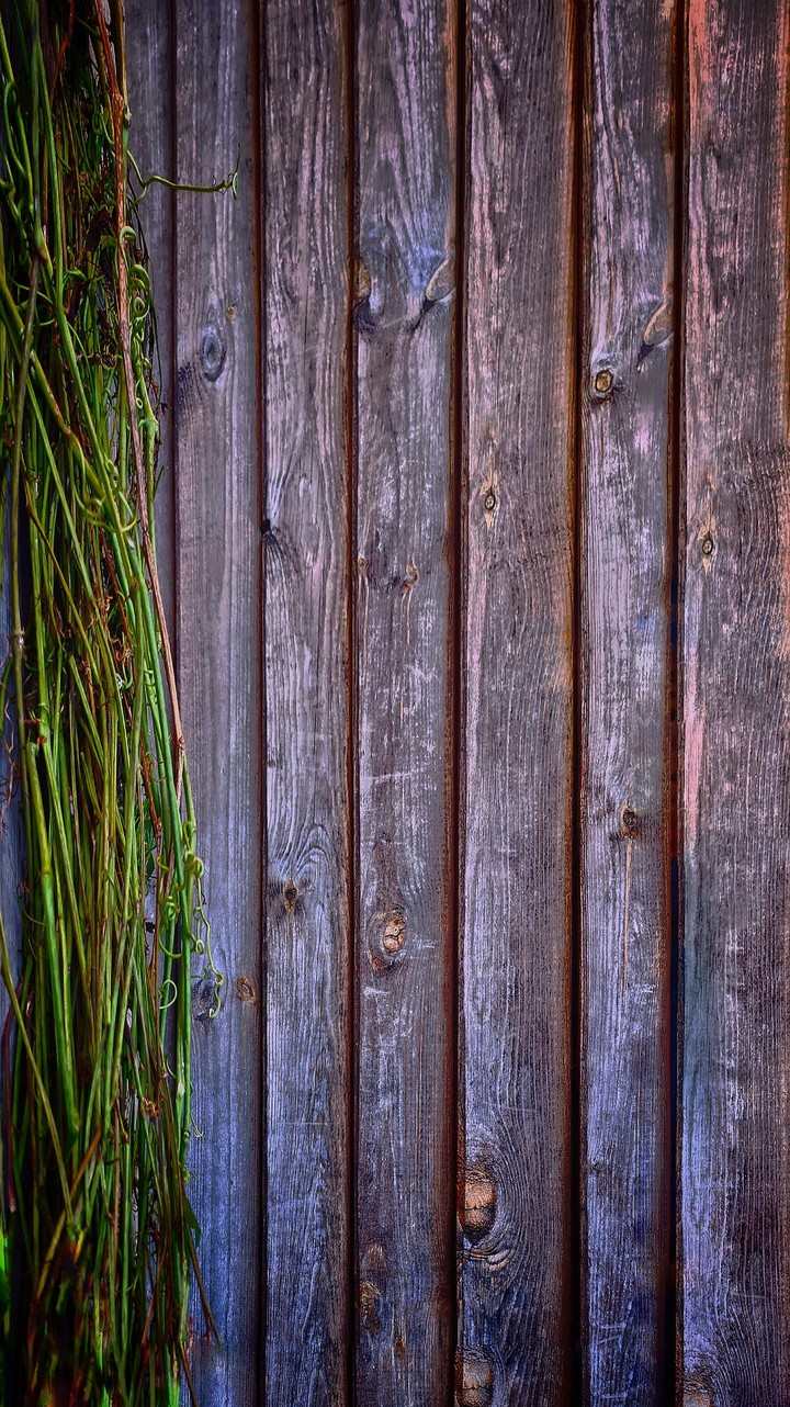 wooden