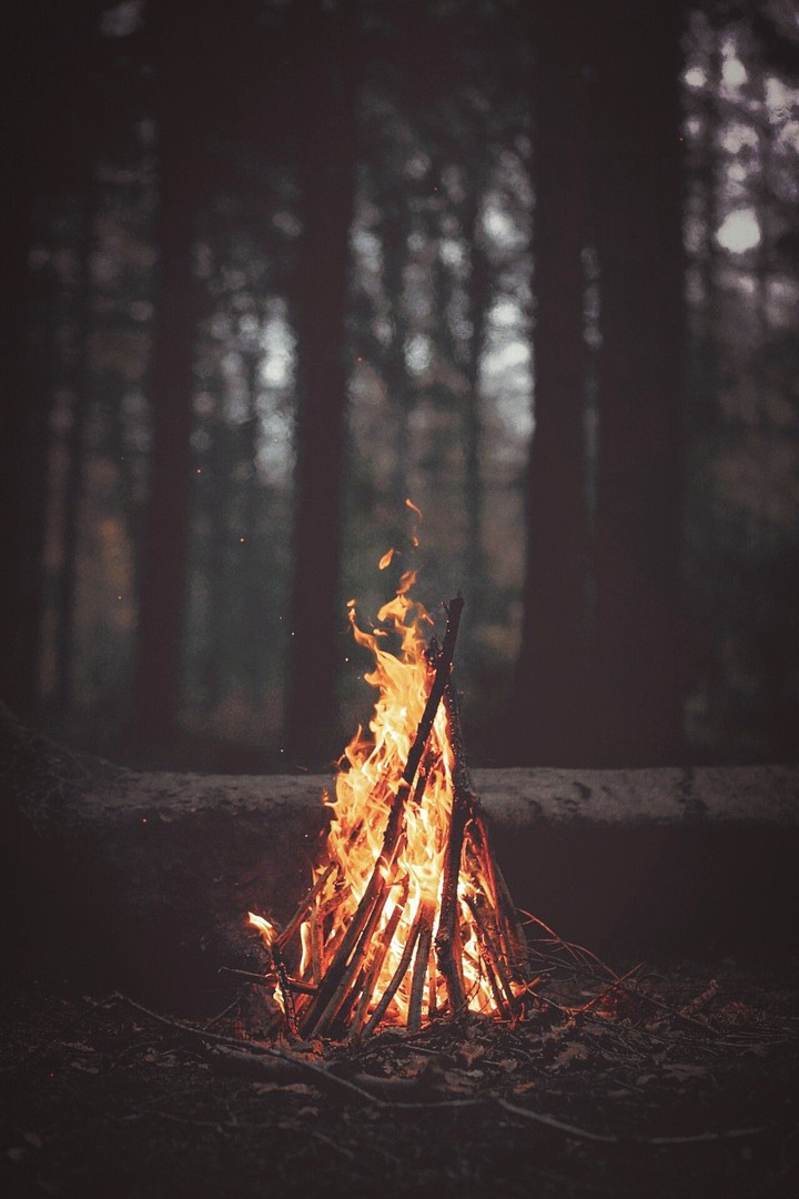 Cold Days With Campfires