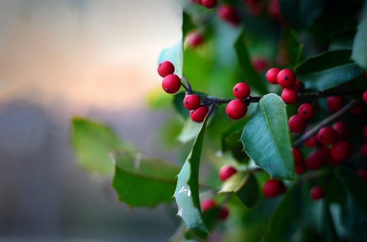 Christmas time