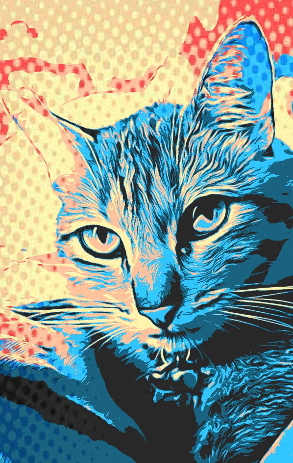 Hello Cat