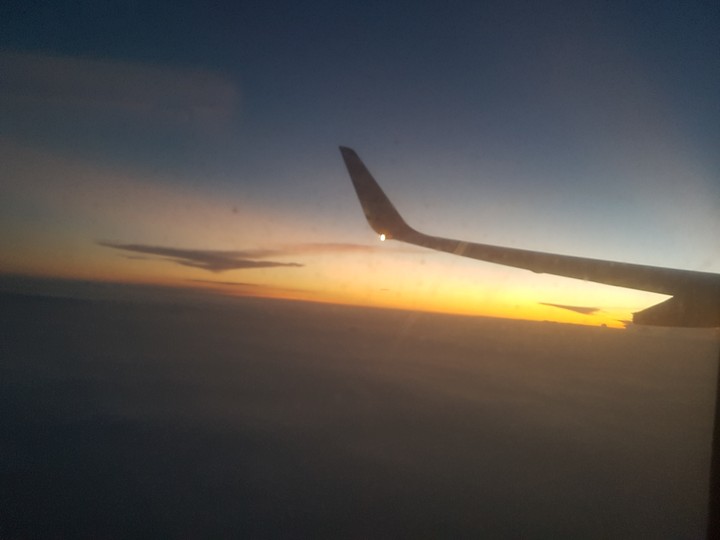 fly as a bird