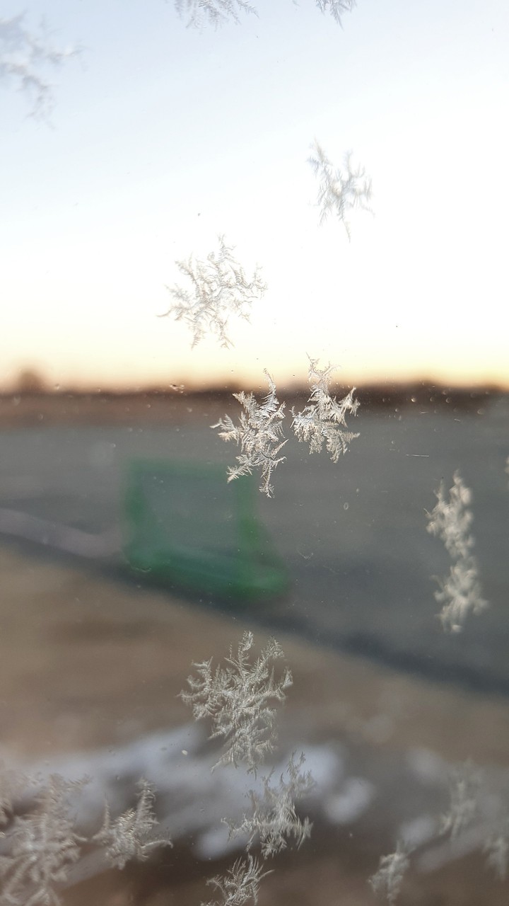 겨울 서리(winter frost)