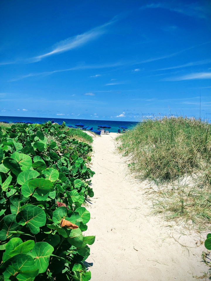 Delray Beach path