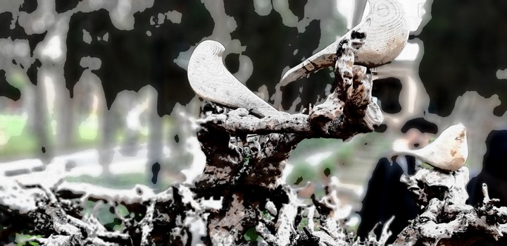 wood