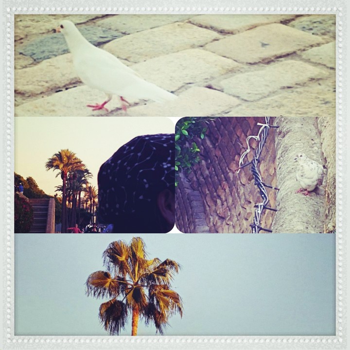 Beautiful Day in Spain