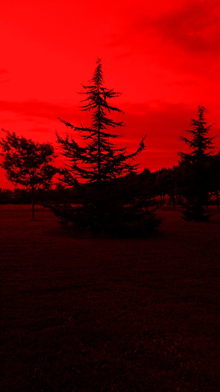 tree