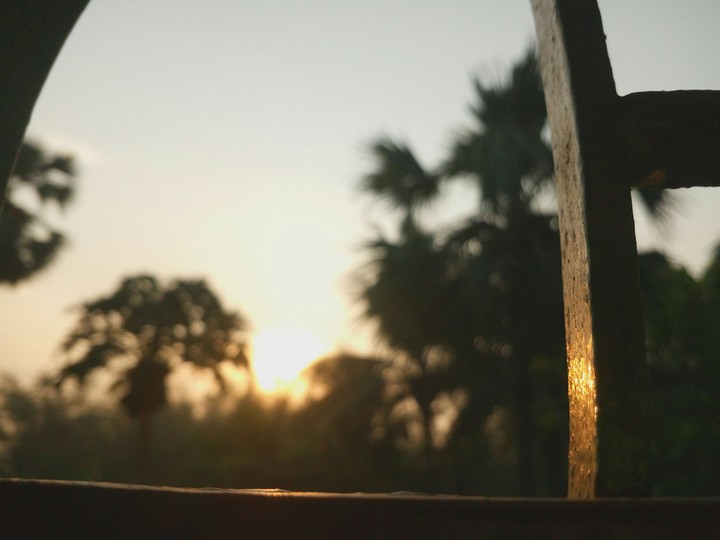 #ari_clicked