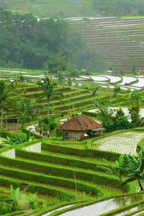 beautiful nature