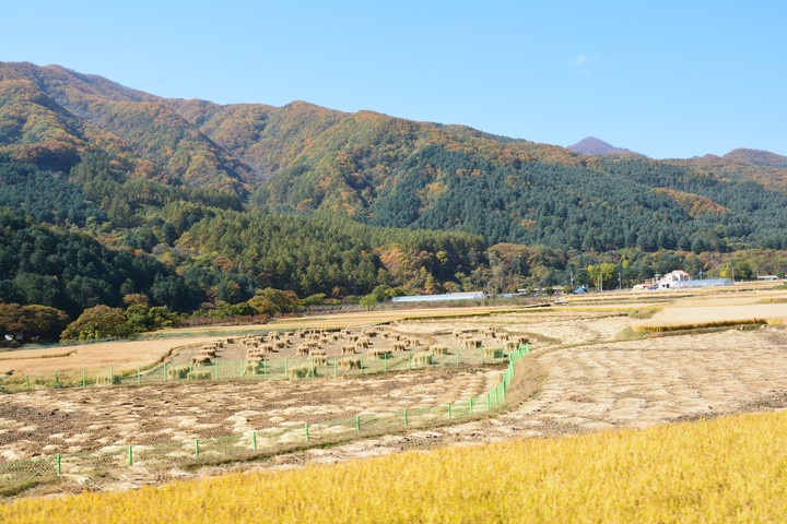 산이미지