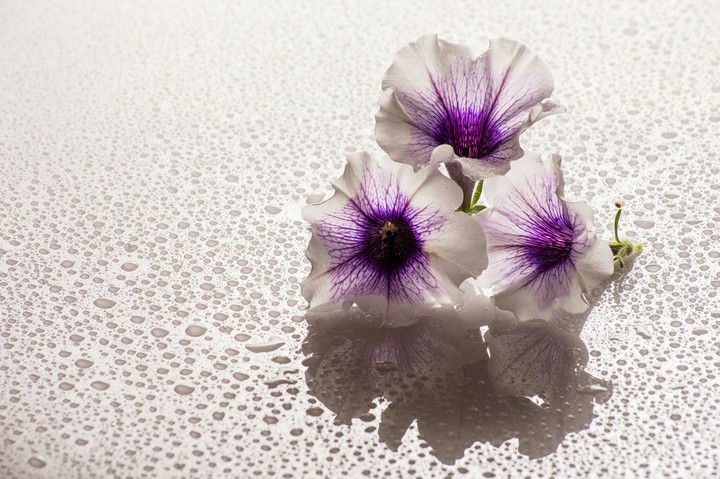 water drops
