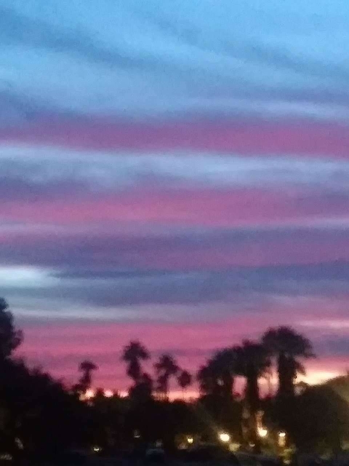 Purple Sunrise In The Desert