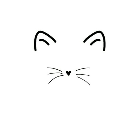 kitty