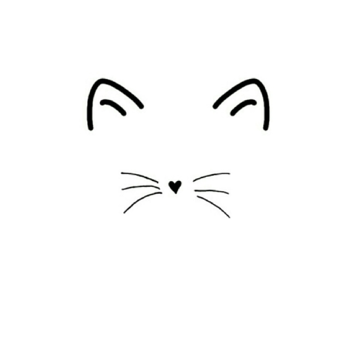 kitty