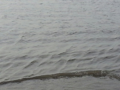Blackpool Ocean 2