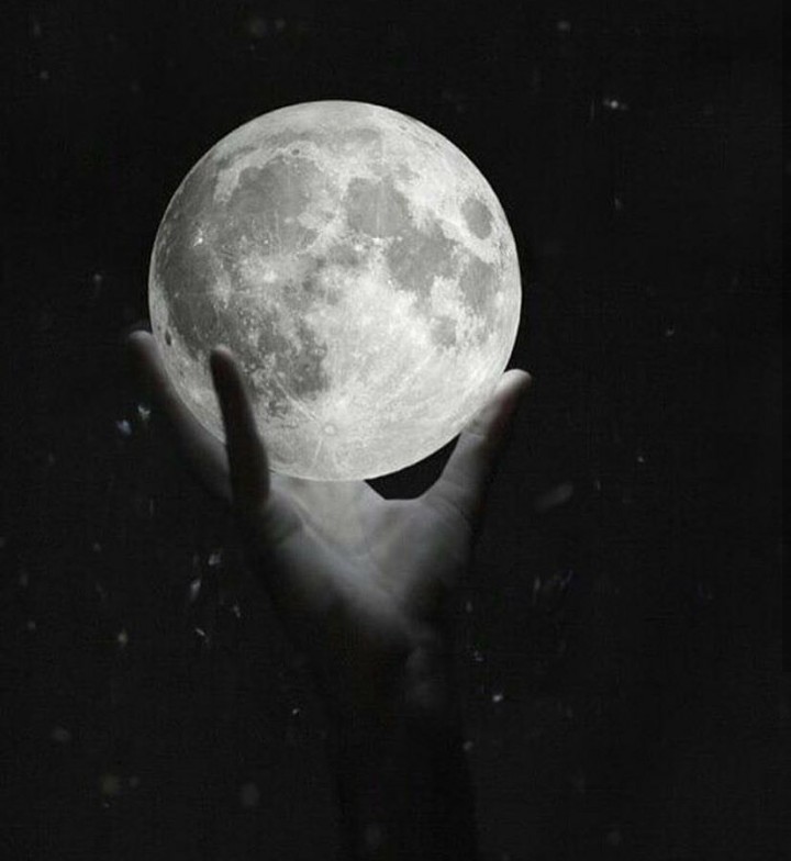 Moonlight...