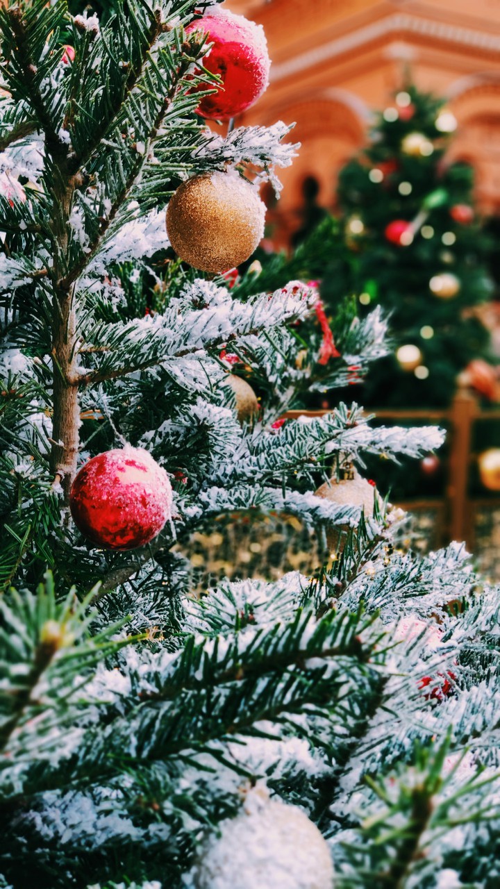 Xmas tree