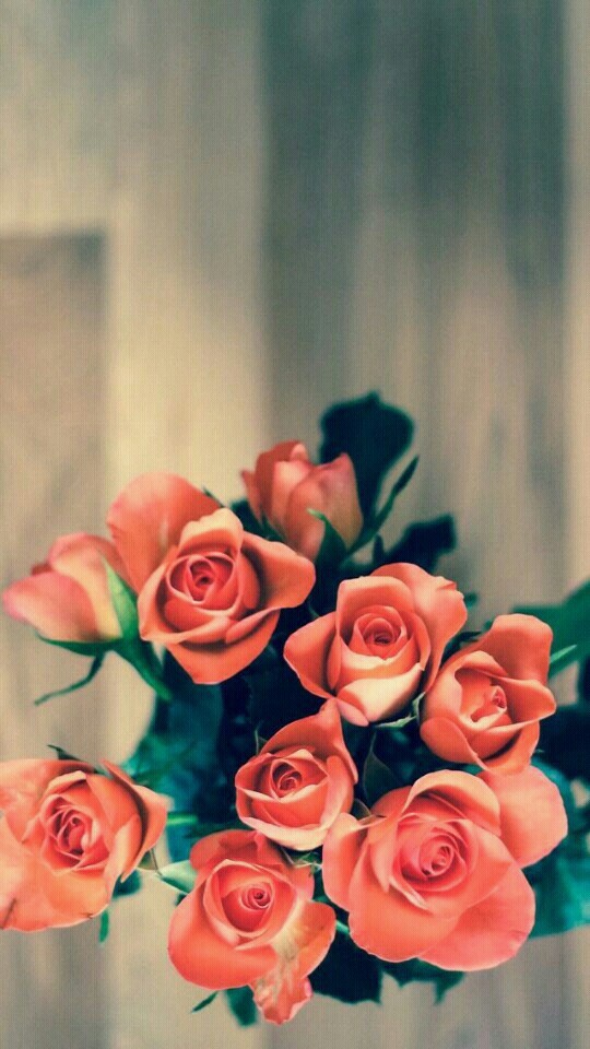 flores 2